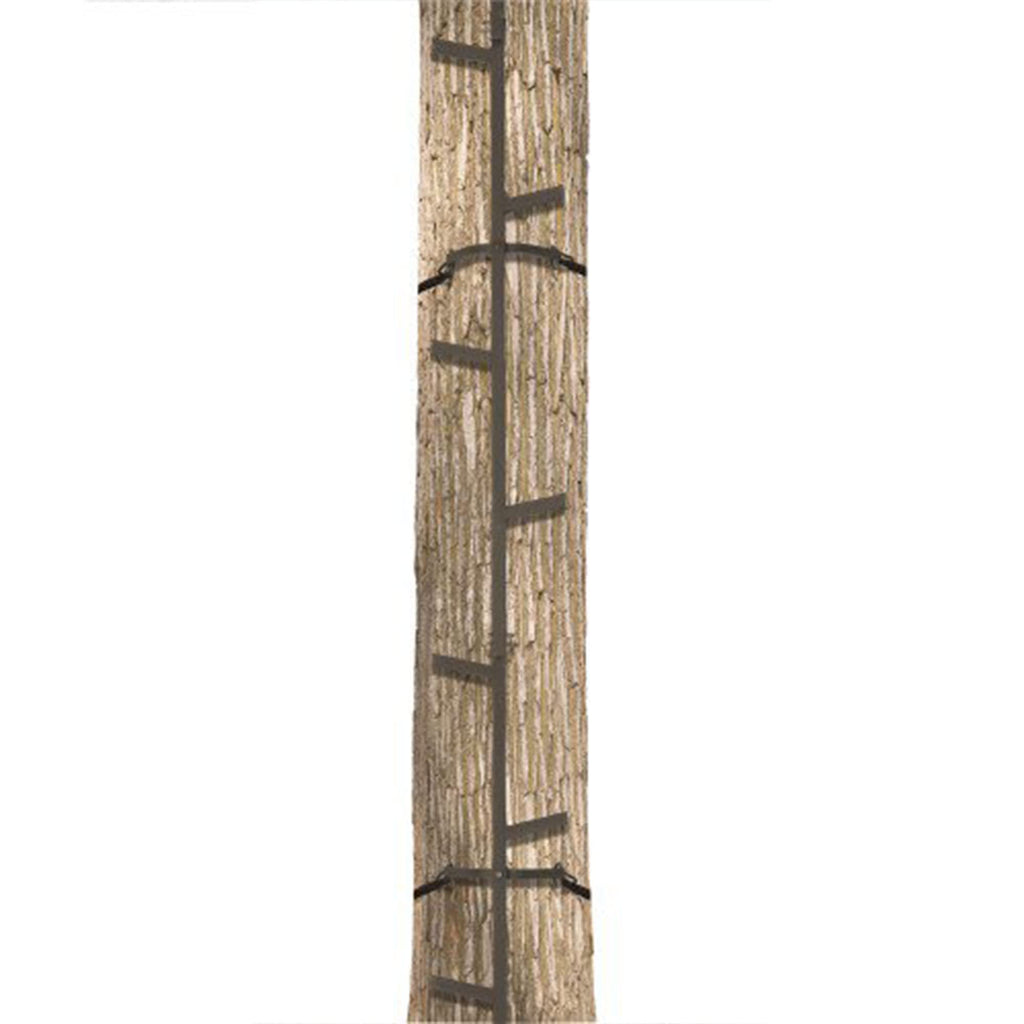 20 Feet Tall Steel Tree Climbing System (2 Pack) T215950