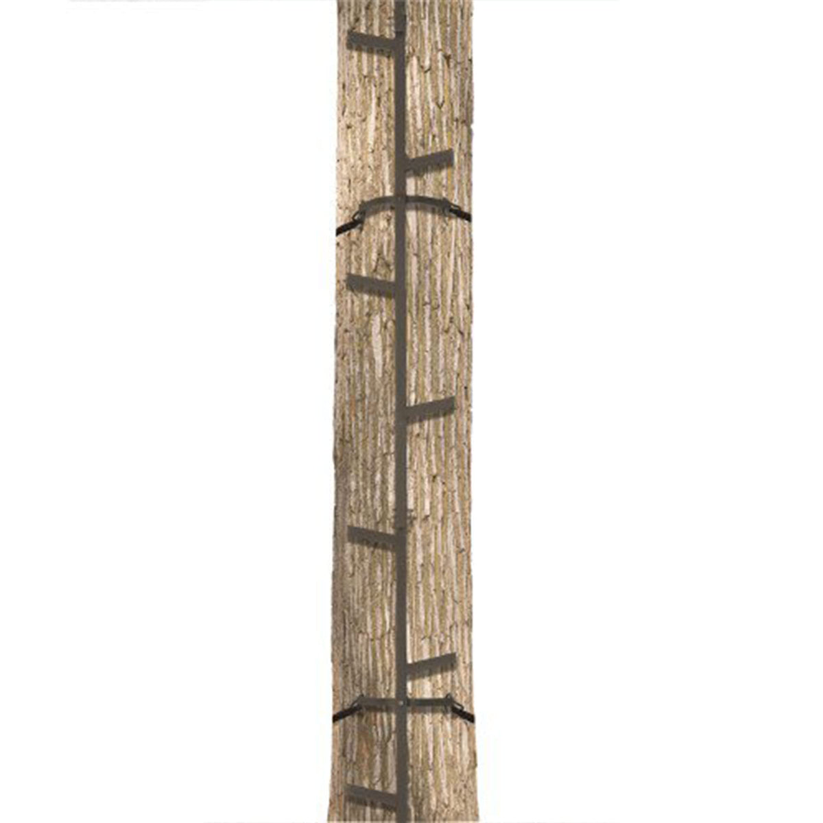 20 Feet Tall Steel Tree Climbing System (2 Pack) T215950