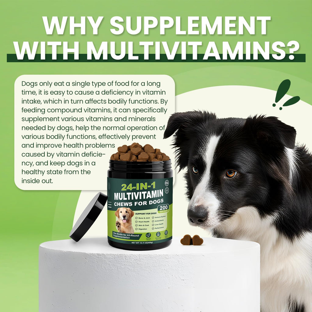 Dog Vitamins and Supplements 200 Ct Multivitamin N2132