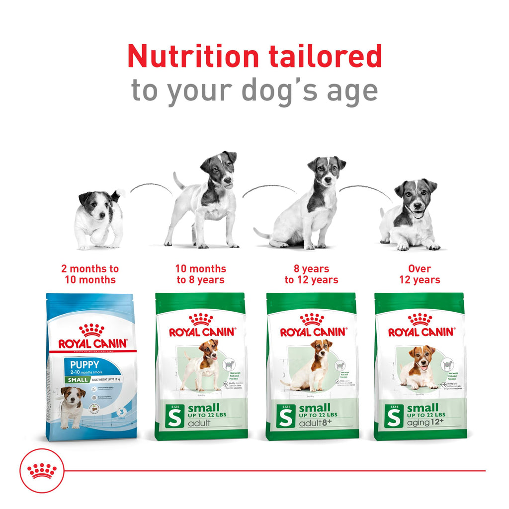 Small Breed Dry Dog Food 14 lb Bag O769