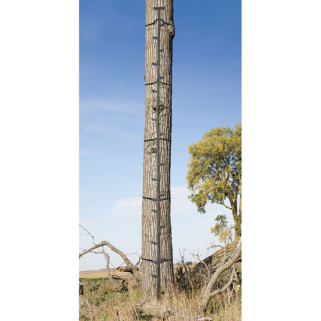 20 Feet Tall Steel Tree Climbing System (2 Pack) T215950