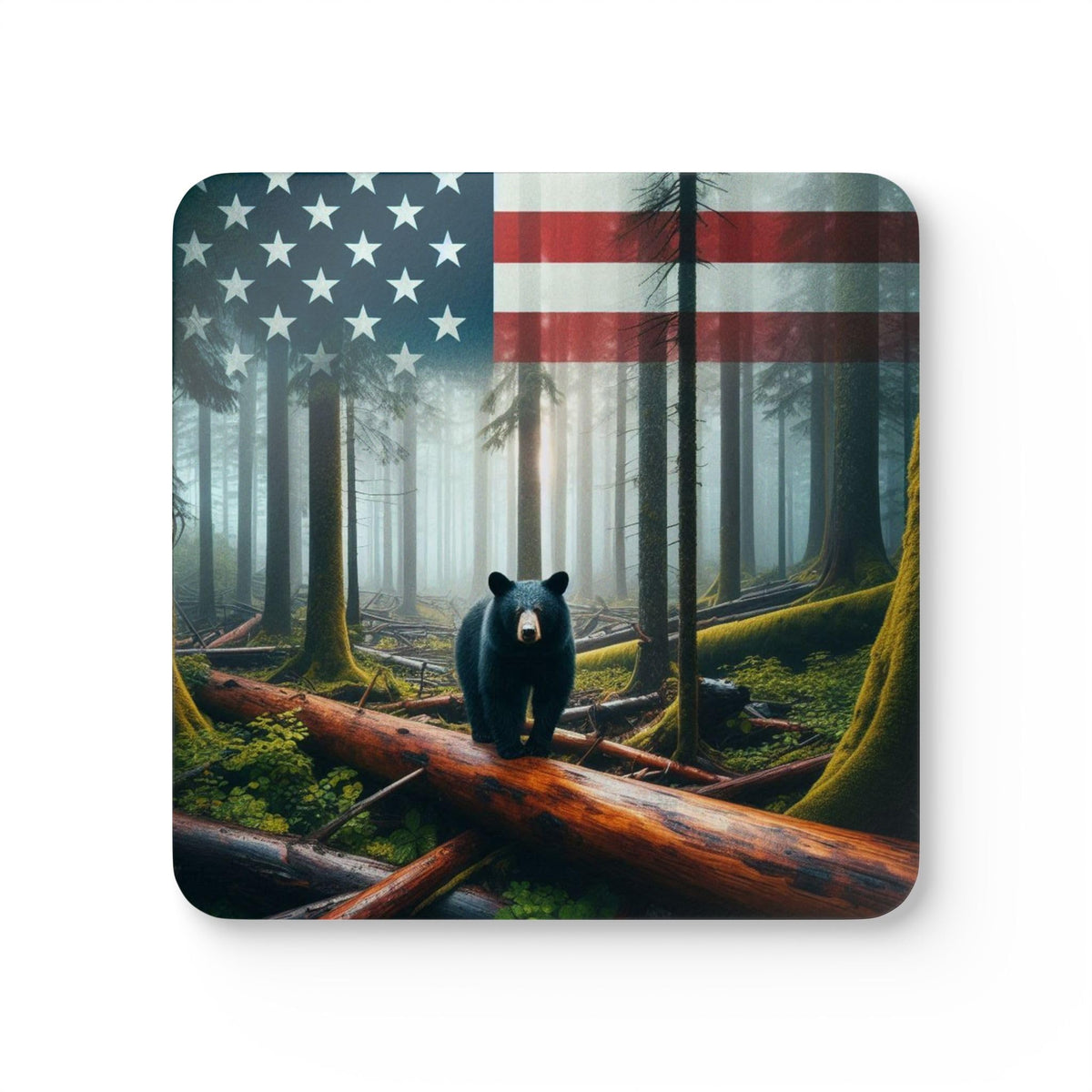 Set of 4 Coasters H4198