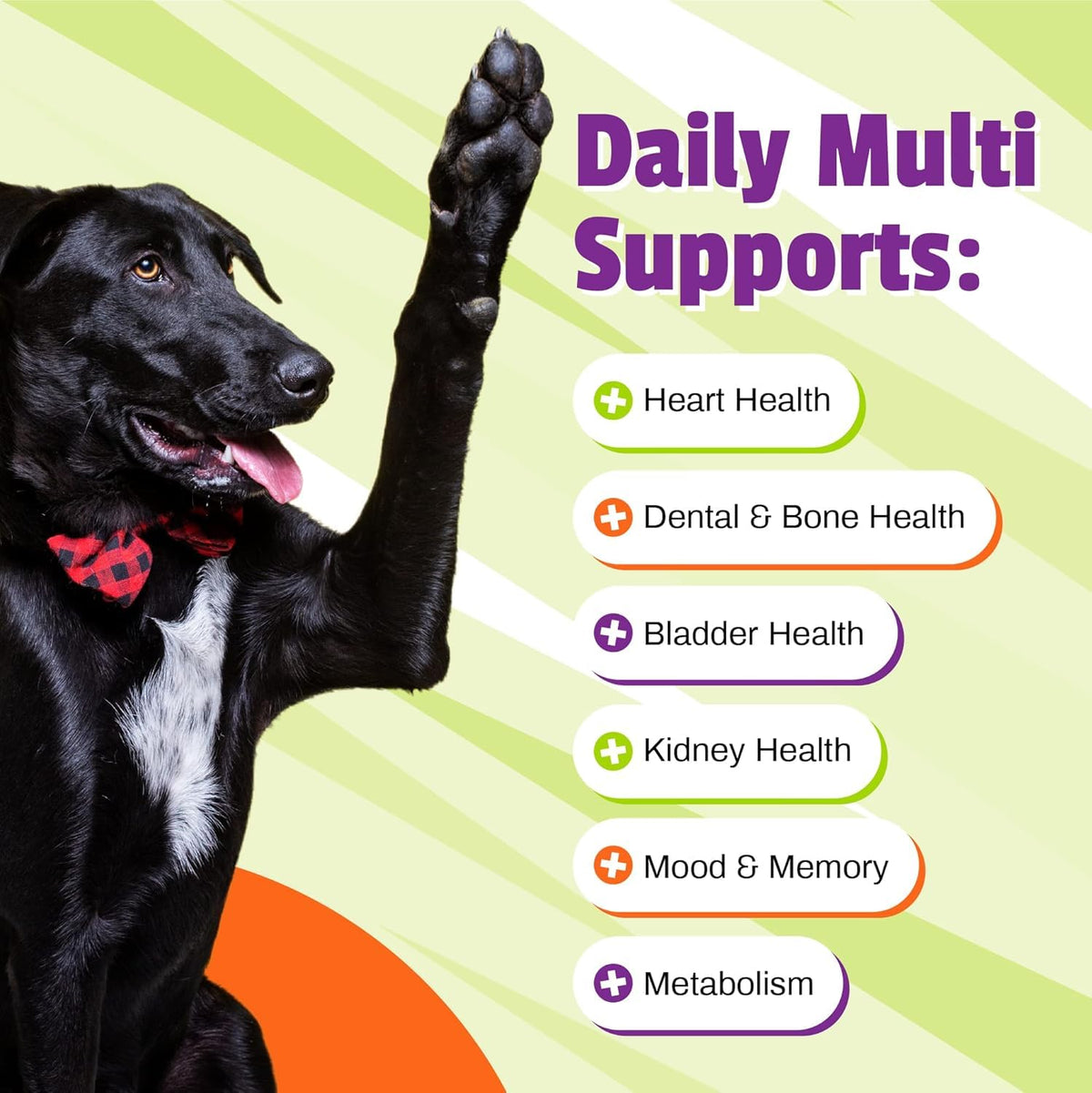 Daily Multivitamin Chews for Dogs, 30 Count K6780
