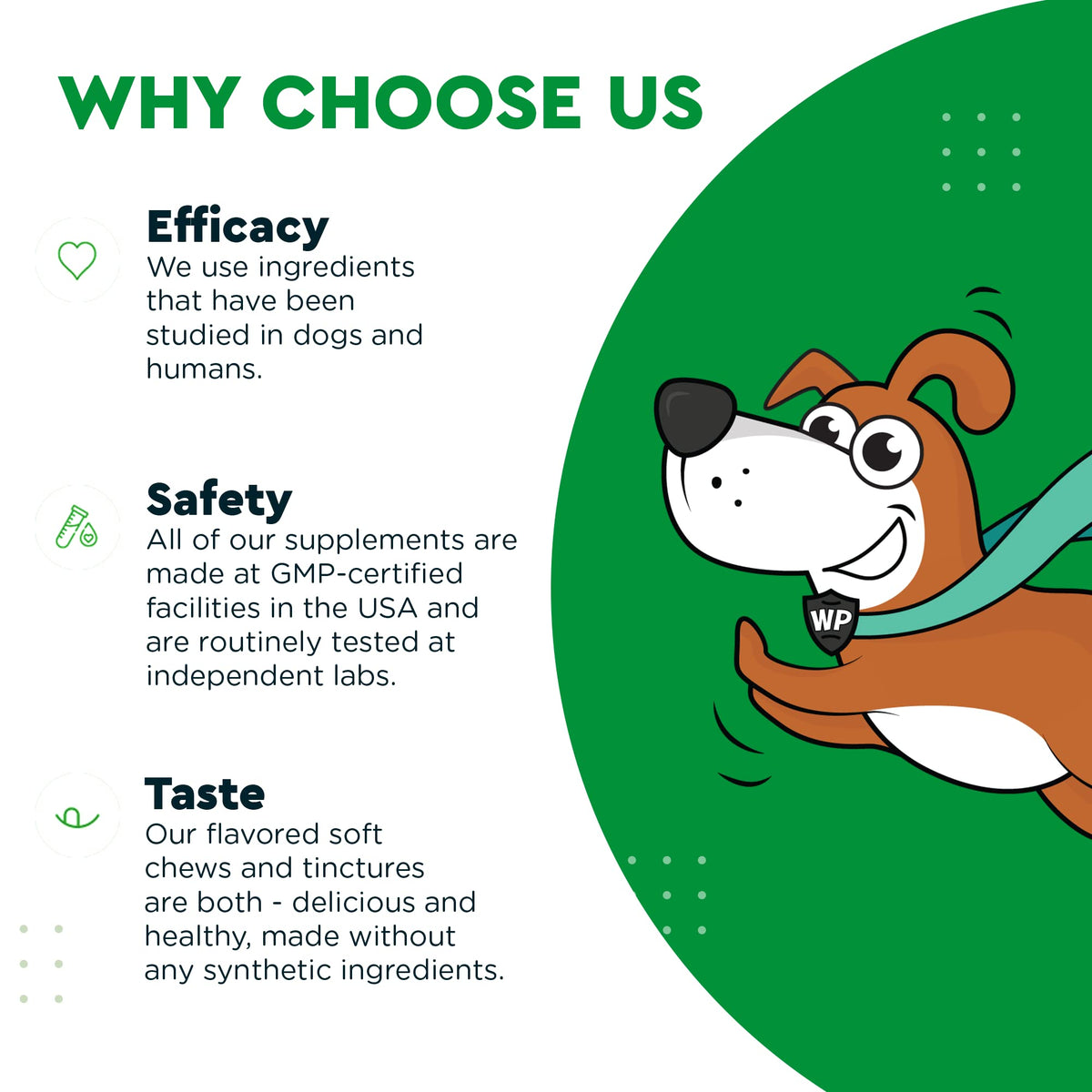 Soft Chews Plus Multivitamin Chews for Dogs L62280