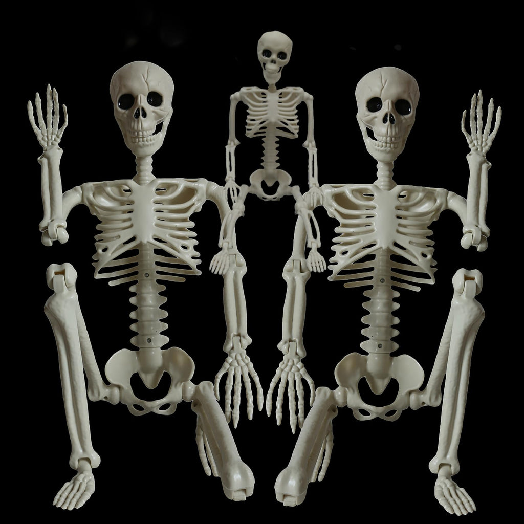 2Pcs 36" 1Pcs 16" Posable Plastic Skeleton A44970