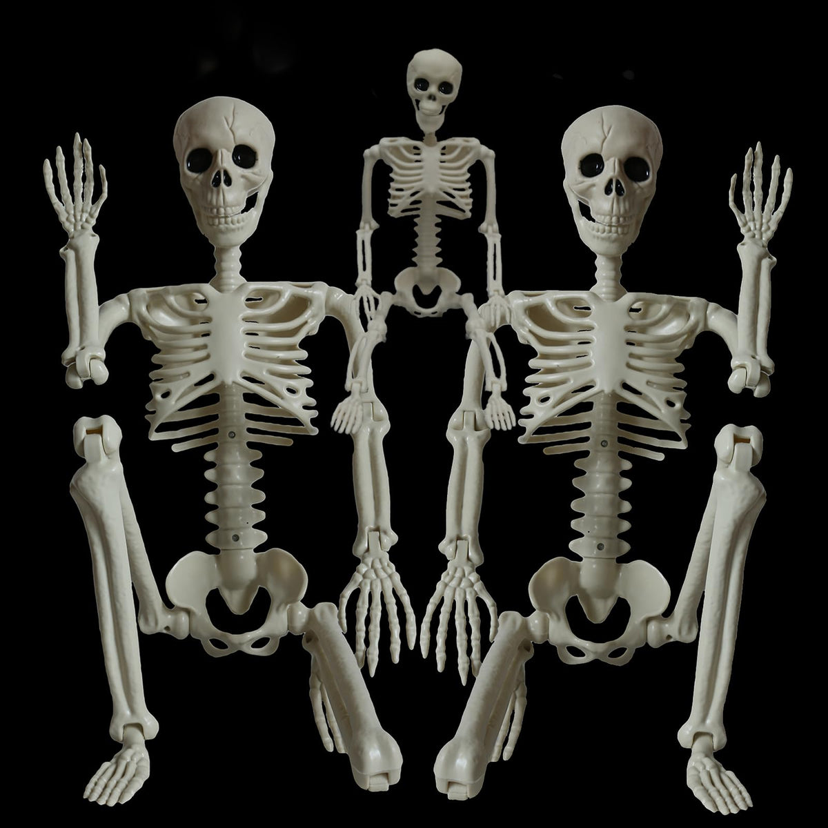 2Pcs 36" 1Pcs 16" Posable Plastic Skeleton A44970