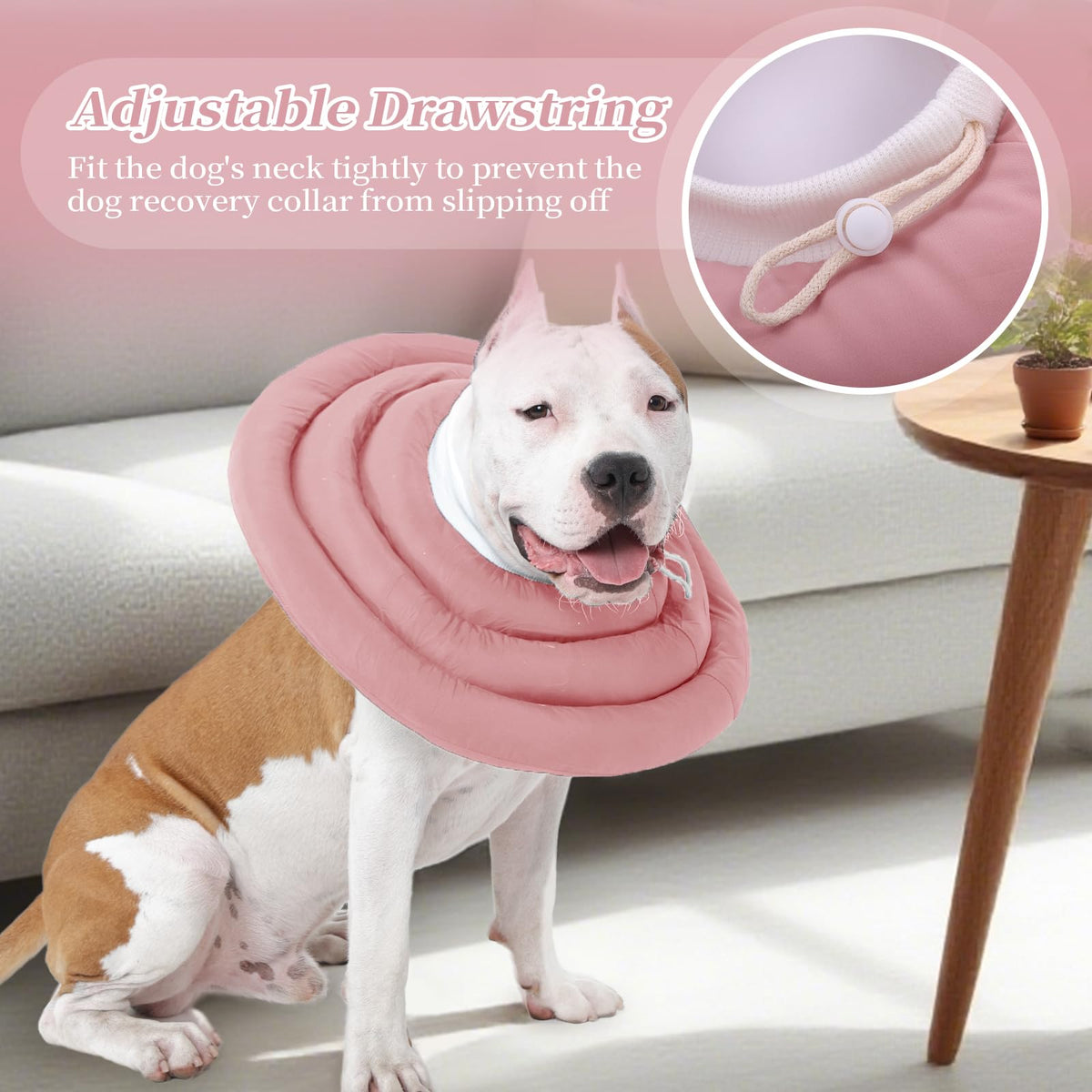 Waterproof Soft Dog Recovery Collar K278