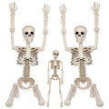 2Pcs 36" 1Pcs 16" Posable Plastic Skeleton A44970