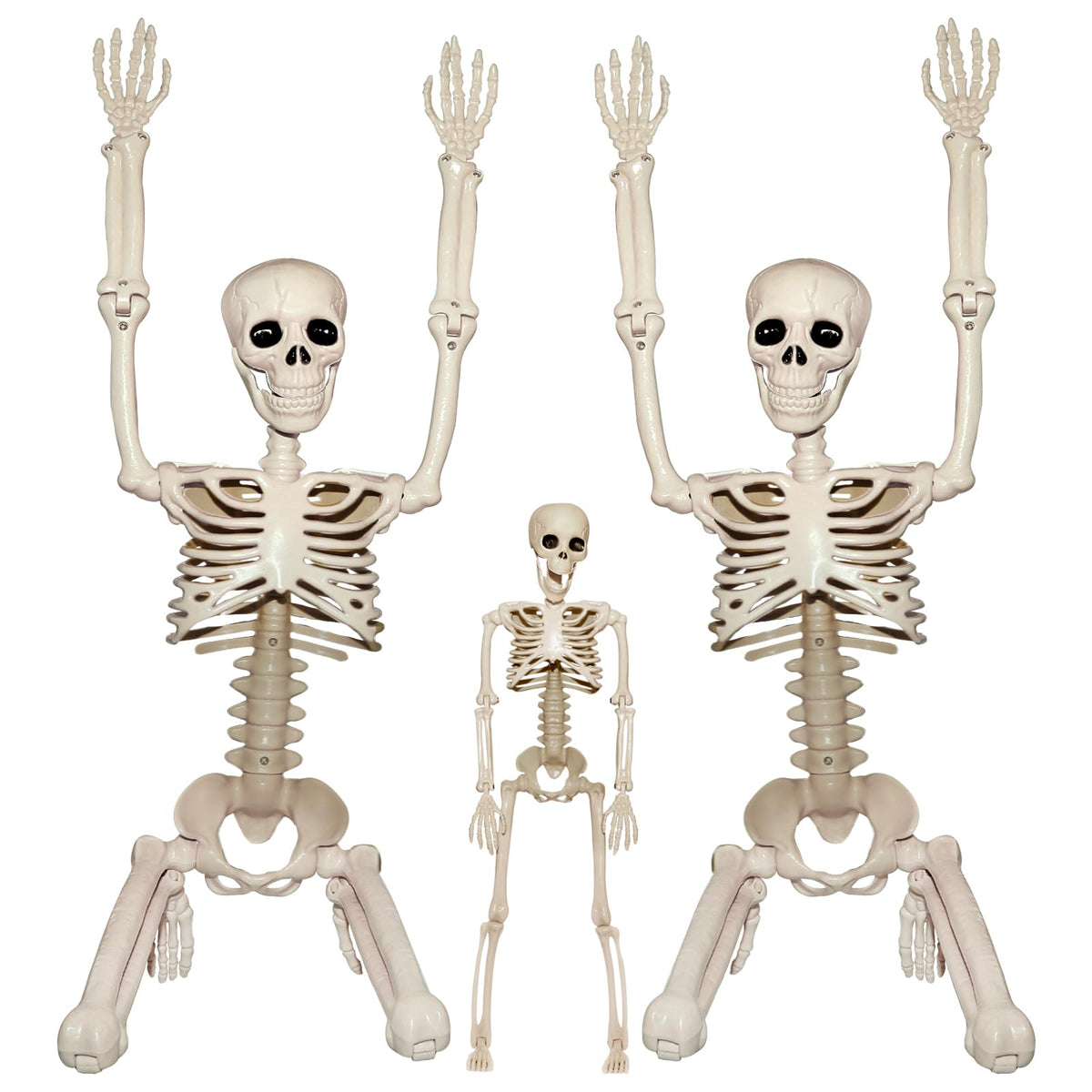 2Pcs 36" 1Pcs 16" Posable Plastic Skeleton A44970