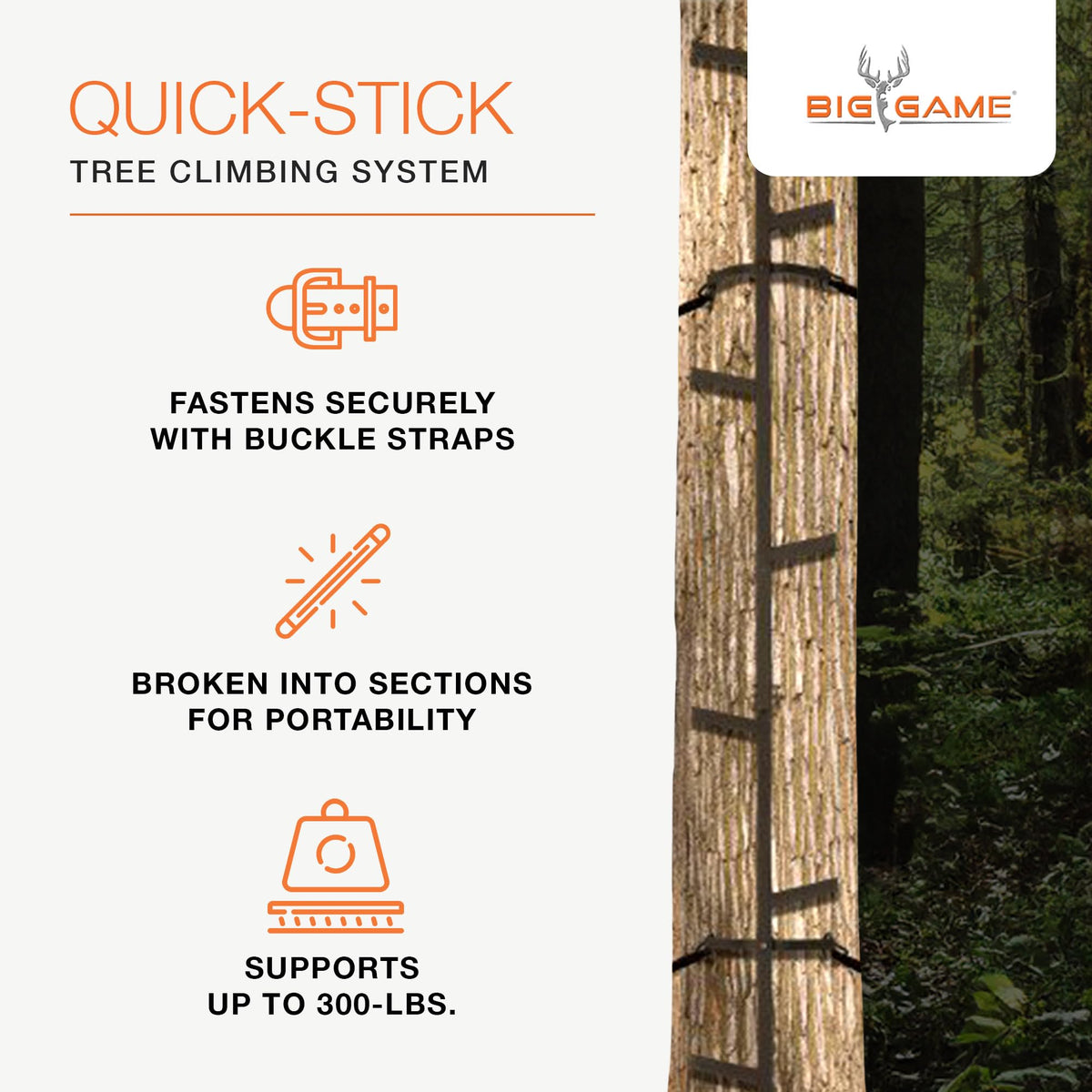 20 Feet Tall Steel Tree Climbing System (2 Pack) T215950