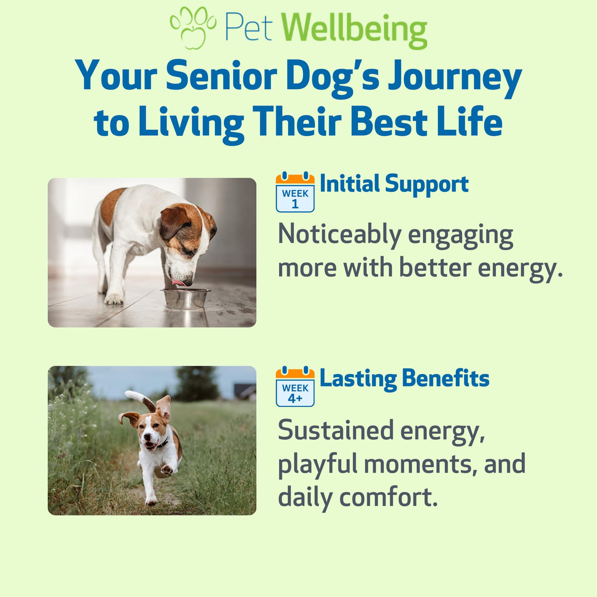 Senior Immune & Cognitive 2 oz Z72787