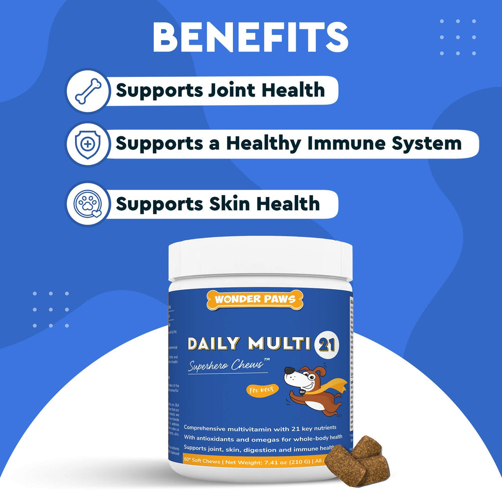 Soft Chews Plus Multivitamin Chews for Dogs L62280