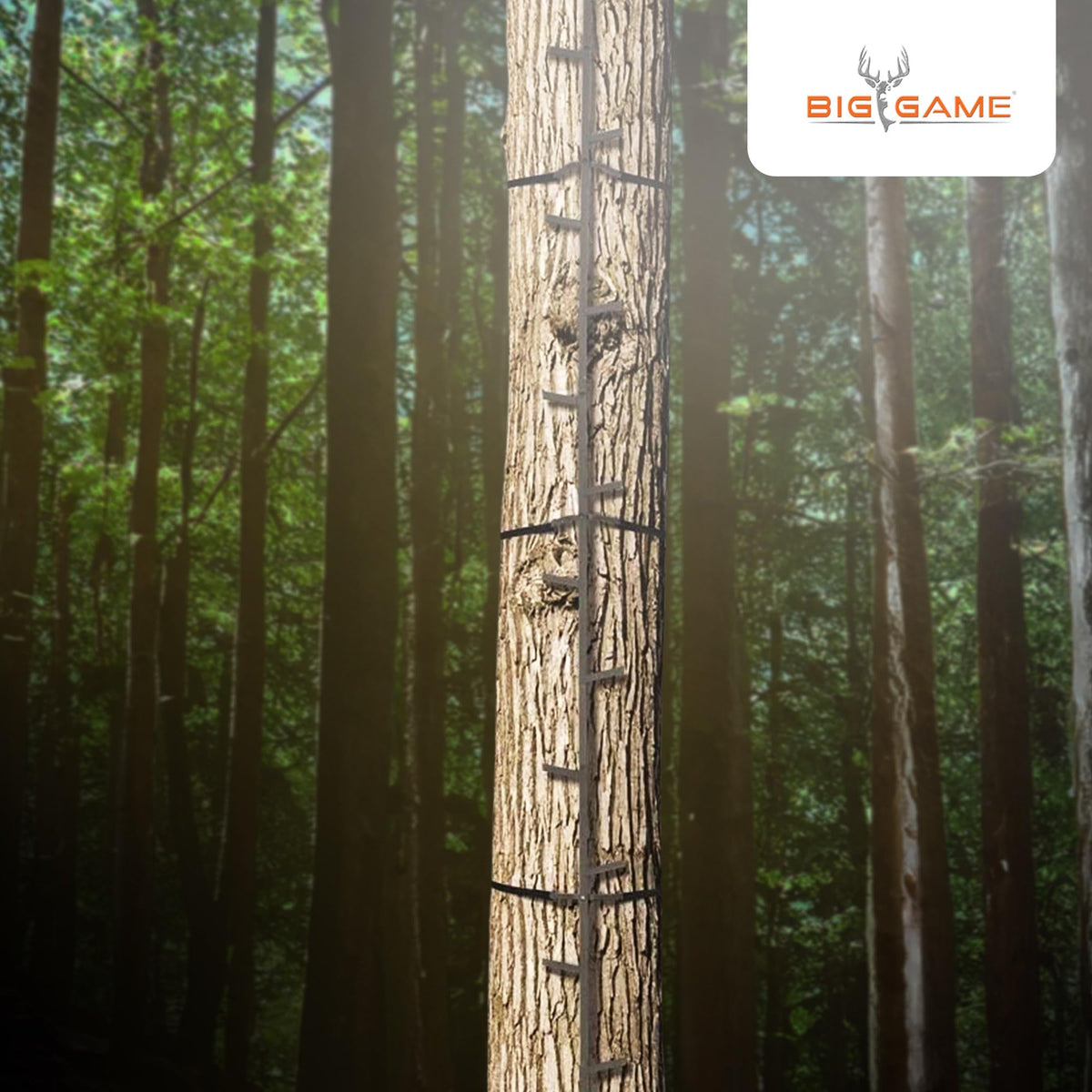 20 Feet Tall Steel Tree Climbing System (2 Pack) T215950
