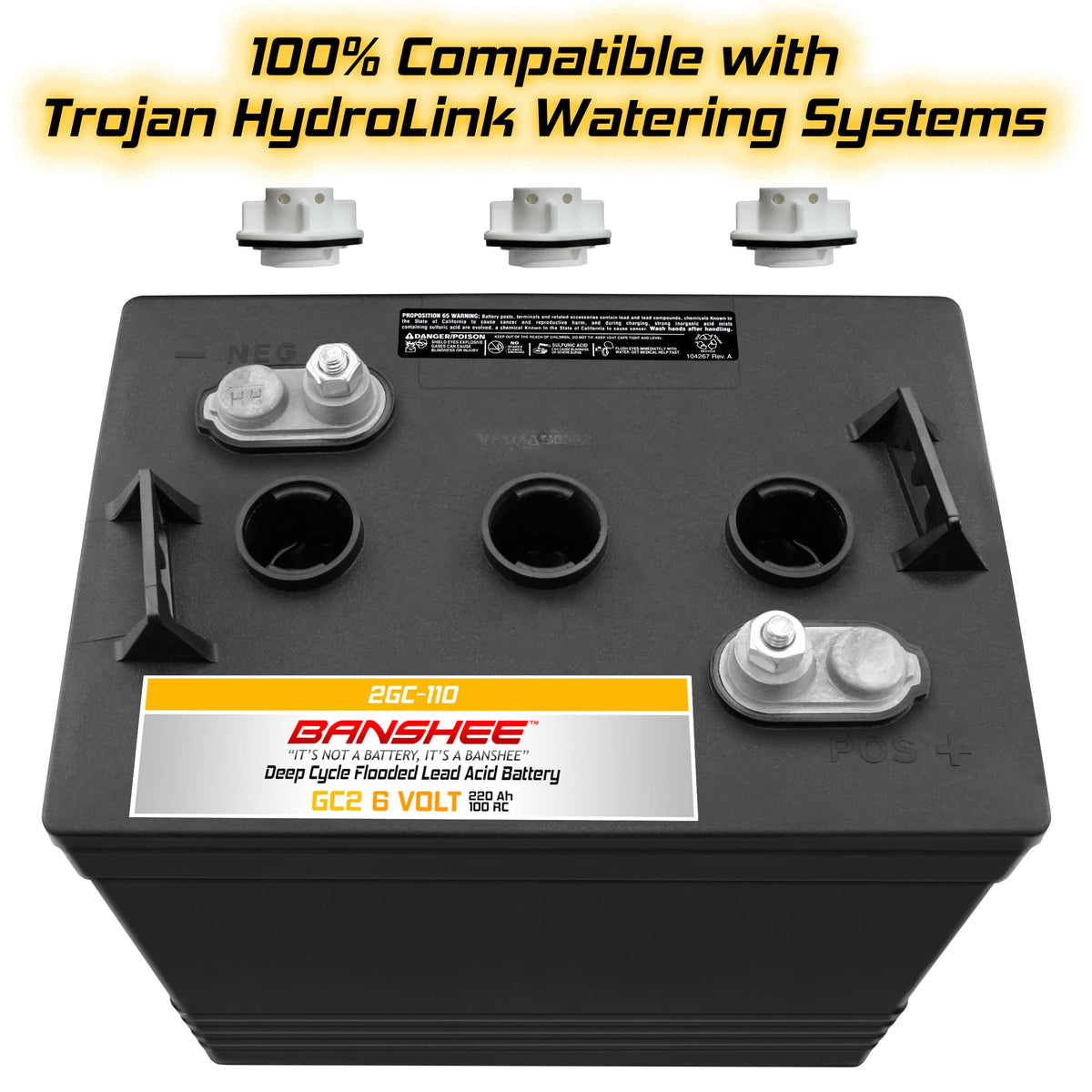 220Ah Deep Cycle Golf Cart Batteries 4-Pack P7053