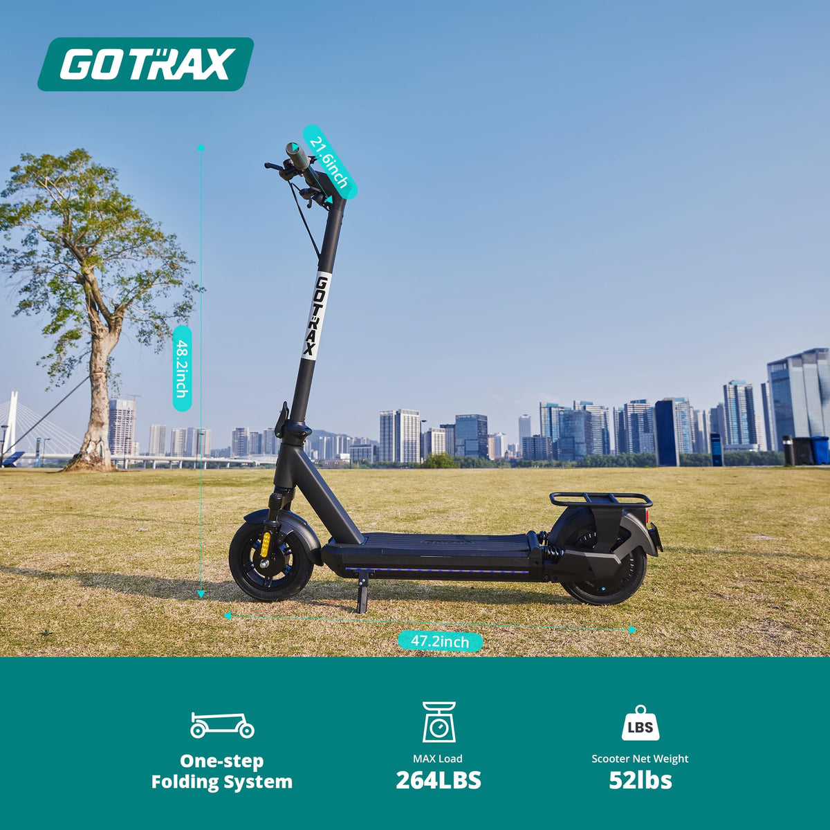 Electric Scooter with 10" Tire W61844