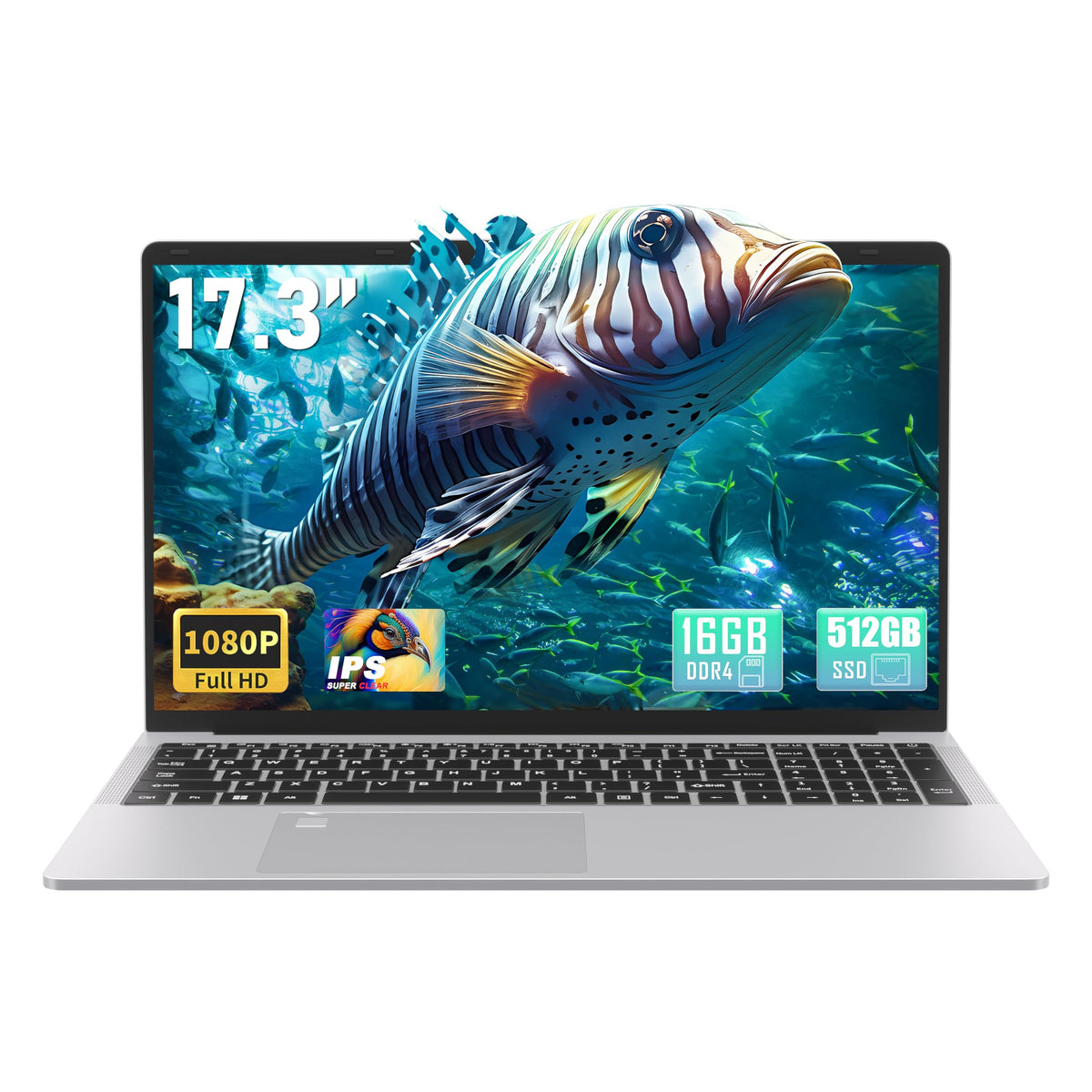 17.3" FHD IPS Business Laptop Computer, Silver U24586