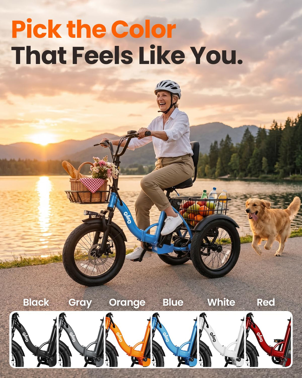 1200W Folding Electric Trike with Cargo Rack R168