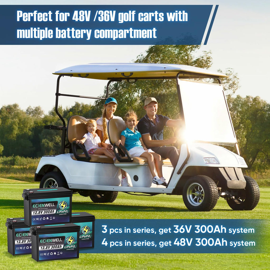 12V 300Ah Lithium LiFePO4 Battery with 200A BMS D3517