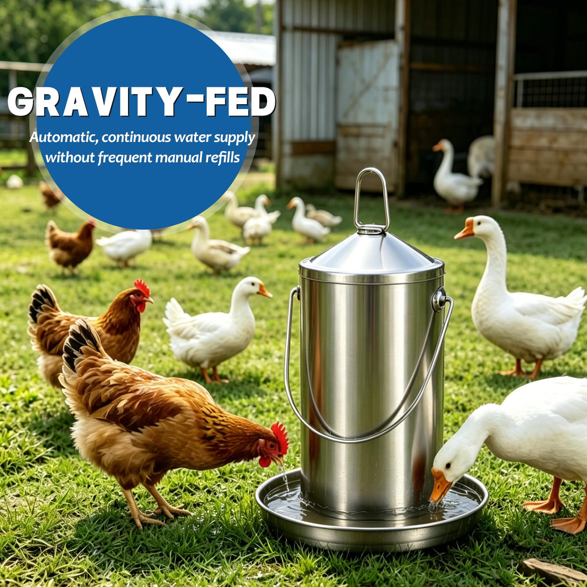 Stainless Steel Chicken Waterer M9878