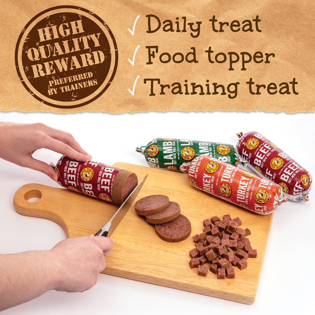 Beef Soft Meat Roll Treat 12 Oz (Pack of 4) O2267