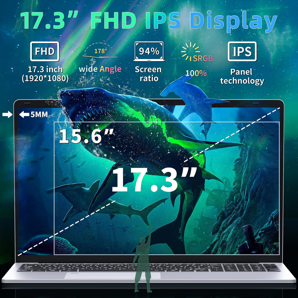17.3" FHD IPS Business Laptop Computer, Silver U24586