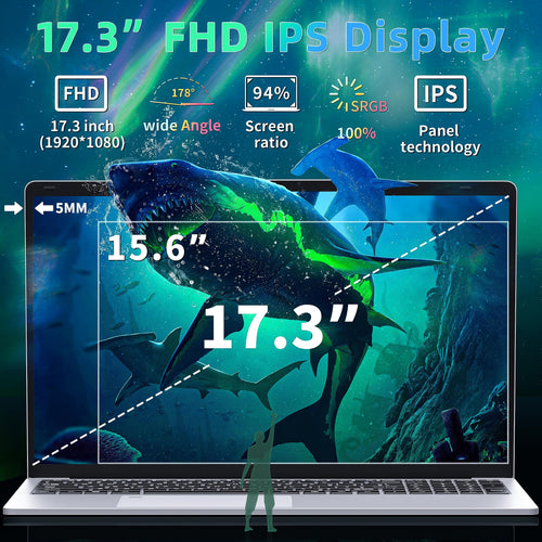 17.3" FHD IPS Business Laptop Computer, Silver U24586